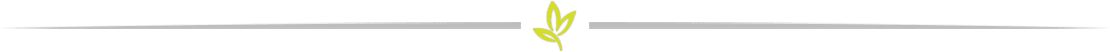 Divider Leaves Divider Leaves